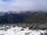 PIC_0061_resize.JPG