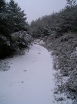 PIC_0066_resize.JPG