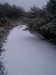 PIC_0067_resize.JPG