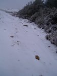 PIC_0068_resize.JPG