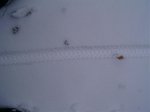 PIC_0073.jpg