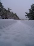 PIC_0075_resize.JPG