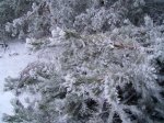 PIC_0078_resize.JPG