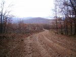 PIC_0079_resize.JPG