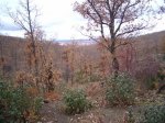 PIC_0080_resize.JPG
