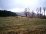 PIC_0082_resize.JPG
