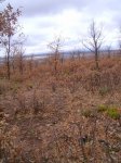 PIC_0084_resize.JPG