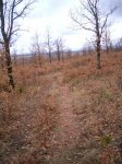 PIC_0085_resize.JPG