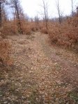 PIC_0086_resize.JPG