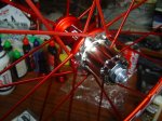 DSC03217.JPG