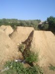 Mastra's trail.jpg
