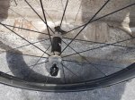 20190501_144131.jpg