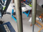 IMG-20190501-WA0013.jpg