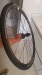 IMG-20190502-WA0015.jpeg
