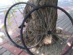DSCN4910.JPG