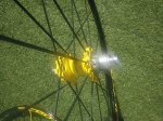 IMG_20190412_163446_596.jpg