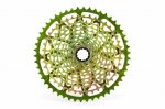 Chameleon Green 1.jpg
