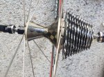 20190523_132729.jpg
