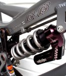 gratuitous CCDB-6.jpg