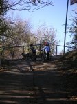 PICT0126.jpg