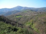 3029. Paisaje.jpg