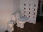 toiletpaperqd9.jpg