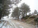 DSC02878.JPG