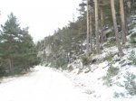 DSC02871.JPG