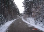 DSC03225.JPG