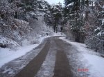 DSC03226.JPG