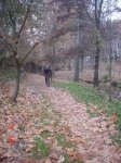 DSC00003.jpg