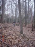 DSC00004.jpg