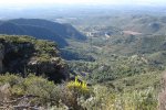 DSC02318.JPG