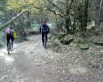 DSC00770.JPG