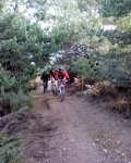 DSC00771.JPG