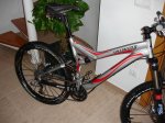 DSC02313.jpg