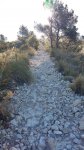 20160615_085942.jpg