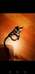 Screenshot_20190531_145224_com.android.gallery3d.jpg