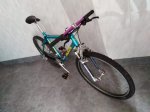 IMG-20190428-WA0118.jpg