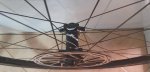 20190619_085529.jpg