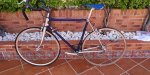 IMG-20190413-WA0019.jpeg