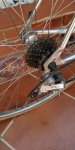IMG-20190413-WA0037.jpeg