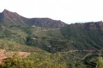 IMG_5635.jpg