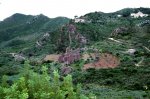IMG_5639.jpg