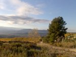 Imagen004.jpg