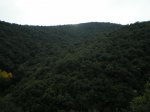 PB240220.JPG