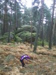 PIC_0011.JPG