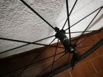 IMG_20190211_113724.jpg