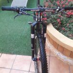 20190714_190729[1367215].jpg