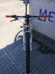 IMG_1079.jpg